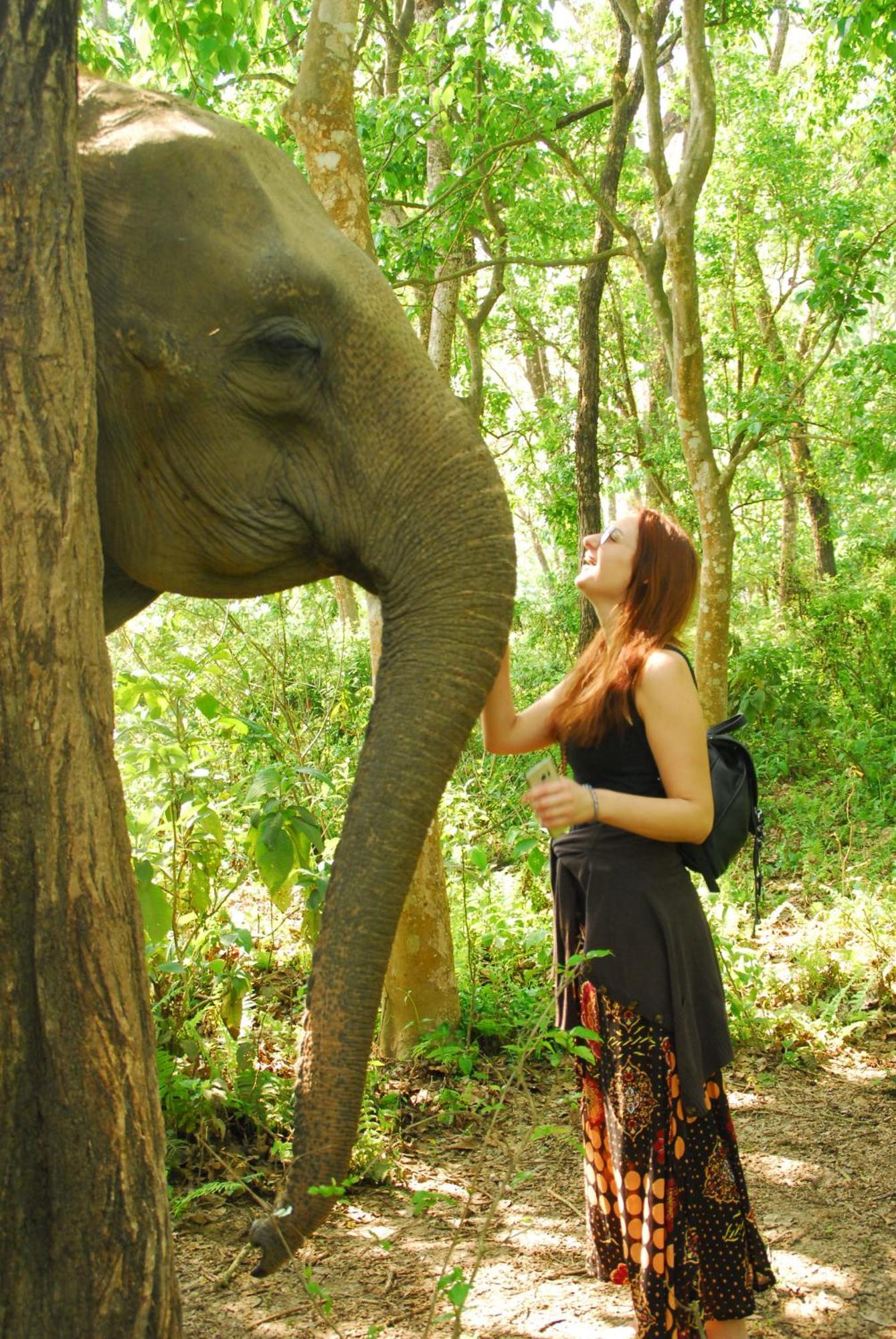 Hotel Garden Of Dreams Sauraha Kültér fotó