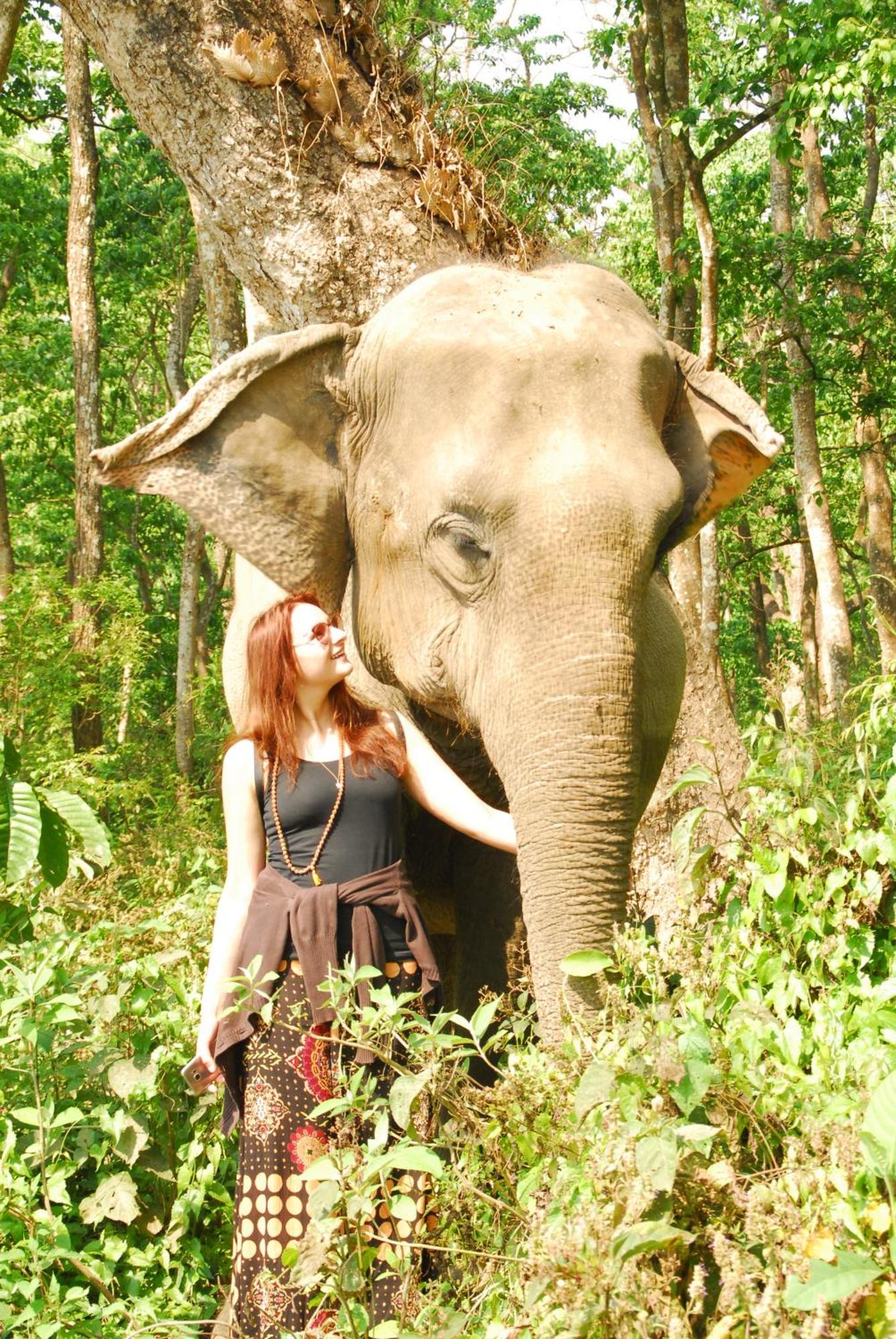 Hotel Garden Of Dreams Sauraha Kültér fotó